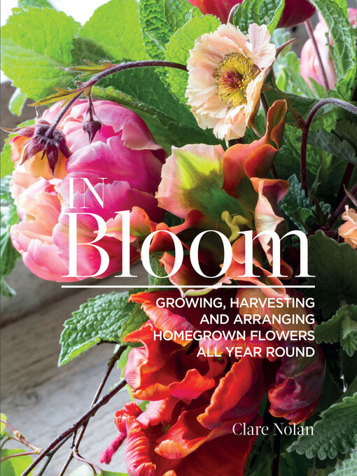 Title details for In Bloom by Clare Nolan - Available